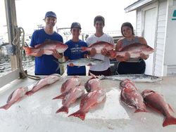 Mackerel And Snappers in Pensacola, FL!
