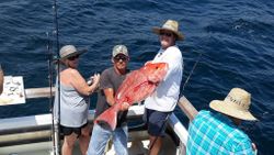 Top Pensacola Fishing for Red Snapper
