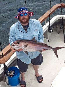 Nice Amberjack from Pensacola, Fl