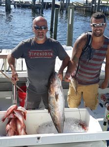Greater Amberjack Fishing from Pensacola, Fl