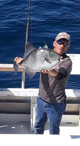 Beautiful Triggerfish Caught in Pensacola!