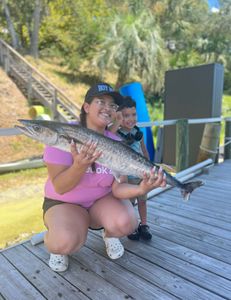Fish-Species