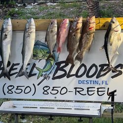 Fish-Species