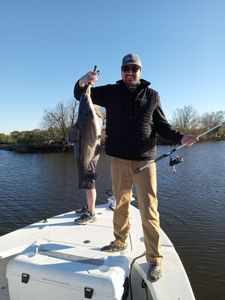 From hook to cook: Louisiana