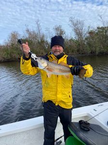 Nice catch! 🎣🐟 #Redfish