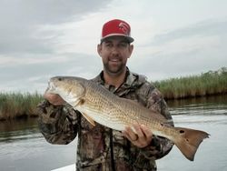 Redfish in Barataria, LA