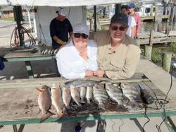 Barataria, Louisiana Redfish & Black Drum