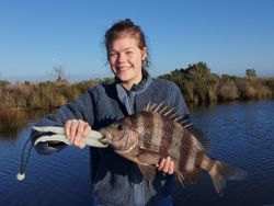 Black Drum in Barataria, LA