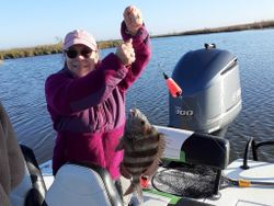 Barataria, Louisiana Black Drum