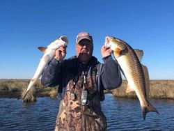 Top Redfish Trips in Barataria, LA