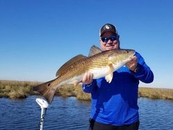 Redfish fishing in Barataria, LA