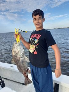 Kid Hooked a Black Drum in Barataria