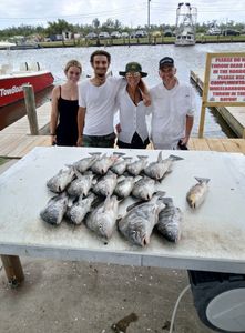 4 black drum and sheepshead fish caught in LA