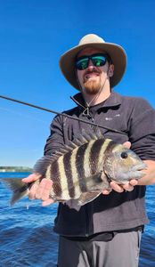 Sheepshead are here - Manns Harbor, NC.