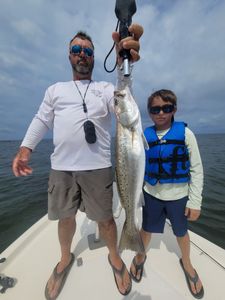Manns Harbor Coastal Speckled Majesty