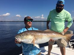 Giant Redfish In North Carolina Waters