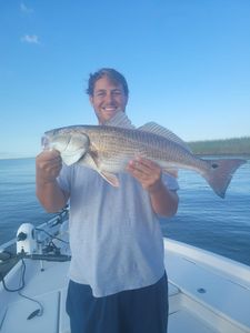 Redfish Beauty In North Carolina Waters