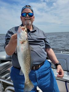 Dappled Coastal Gem In North Carolina Waters