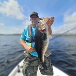 Largemouth Bass Challenge In Manns Haror, NC