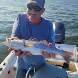 Sunlit Spots Gleam In Manns Harbor Waters