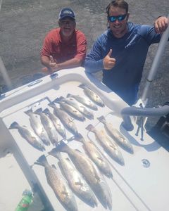 Bountiful Speckled Trout Catch In NC