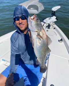 North Carolina's Trout's Mosaic Brilliance