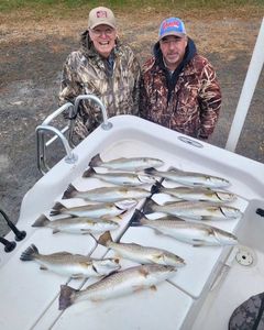 Speckled Trout Haul In North Carolina