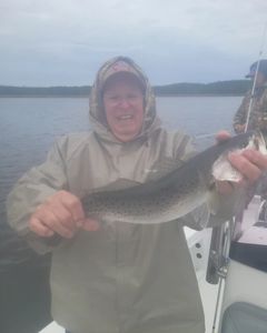 Fish Of The Day. NC's Finest Trout