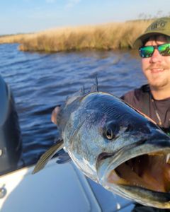 Angler with 19-inch catch in NC