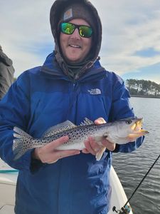 Spotty weakfish caught in NC