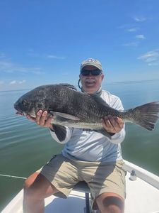 Black drum fish catch on fishing boat in Manns Harbor NC