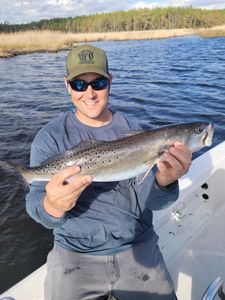 Speckled beauty caught on the line.