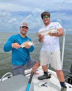 Speckled trout and sunny skies