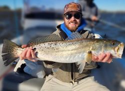 Spotted Weakfish, 31 inches, fishing in Manns Harbor
