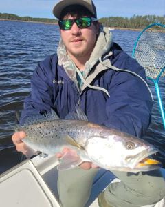 One angler catching a fish in Manns Harbor