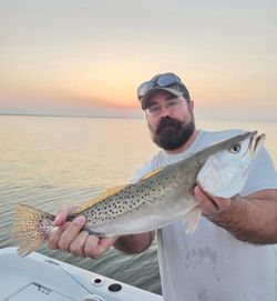 Speckled trout catch displayed on fishing boat in Manns Harbor NC waters at sunset
