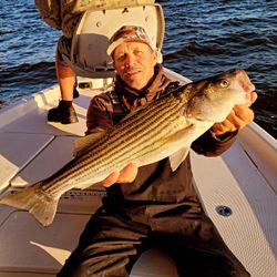 Striped bass caught while fishing in NC