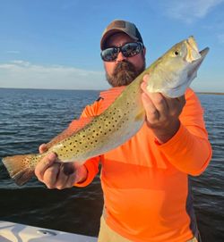 Speckled trout caught fishing in Manns Harbor NC