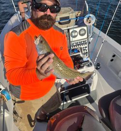 Speckled trout caught fishing in Manns Harbor NC on fishing boat