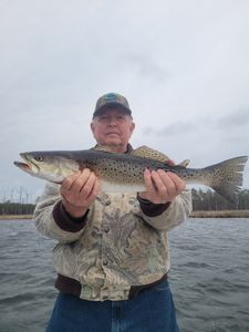 Spotted Weakfish, 30-inch fish caught while fishing in NC