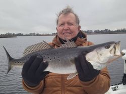 Spotted weakfish caught while fishing in NC