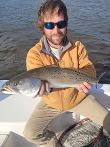A photo of a spotted weakfish measuring 18 inches, caught while fishing in NC.