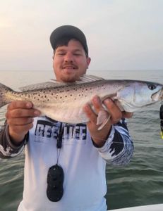 Spotted Weakfish, fishing, Manns Harbor