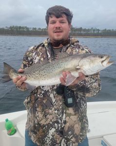 Spotted Weakfish, 23 inches, fishing in Manns Harbor