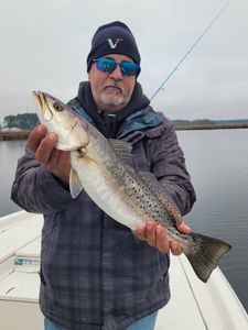 Spotted weakfish caught while fishing in Manns Harbor