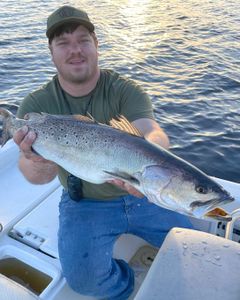 Spotted Weakfish, a 22-inch fish, caught while fishing in Manns Harbor