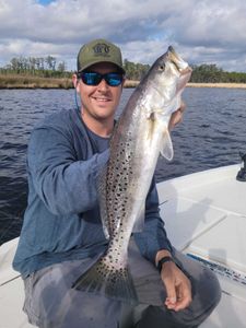 A single spotted weakfish, a 31-inch catch, in Manns Harbor