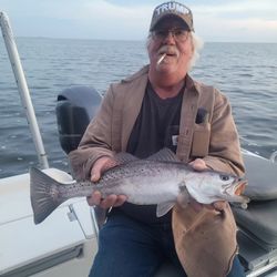 Angler catches Spotted Weakfish in North Carolina