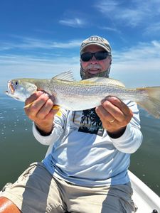 Squeteague fish catch from Manns Harbor NC fishing trip