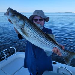 Striped bass caught fishing in NC